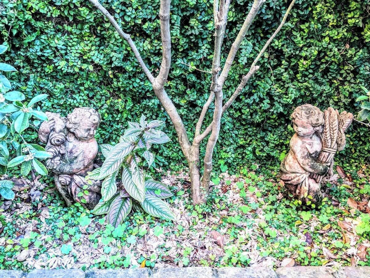 Un jardín con dos estatuas de ángeles, rodeado de follaje denso y un pequeño árbol.