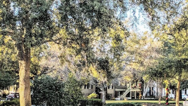 A residential area with mature trees, a well-maintained lawn, and a house with a porch.