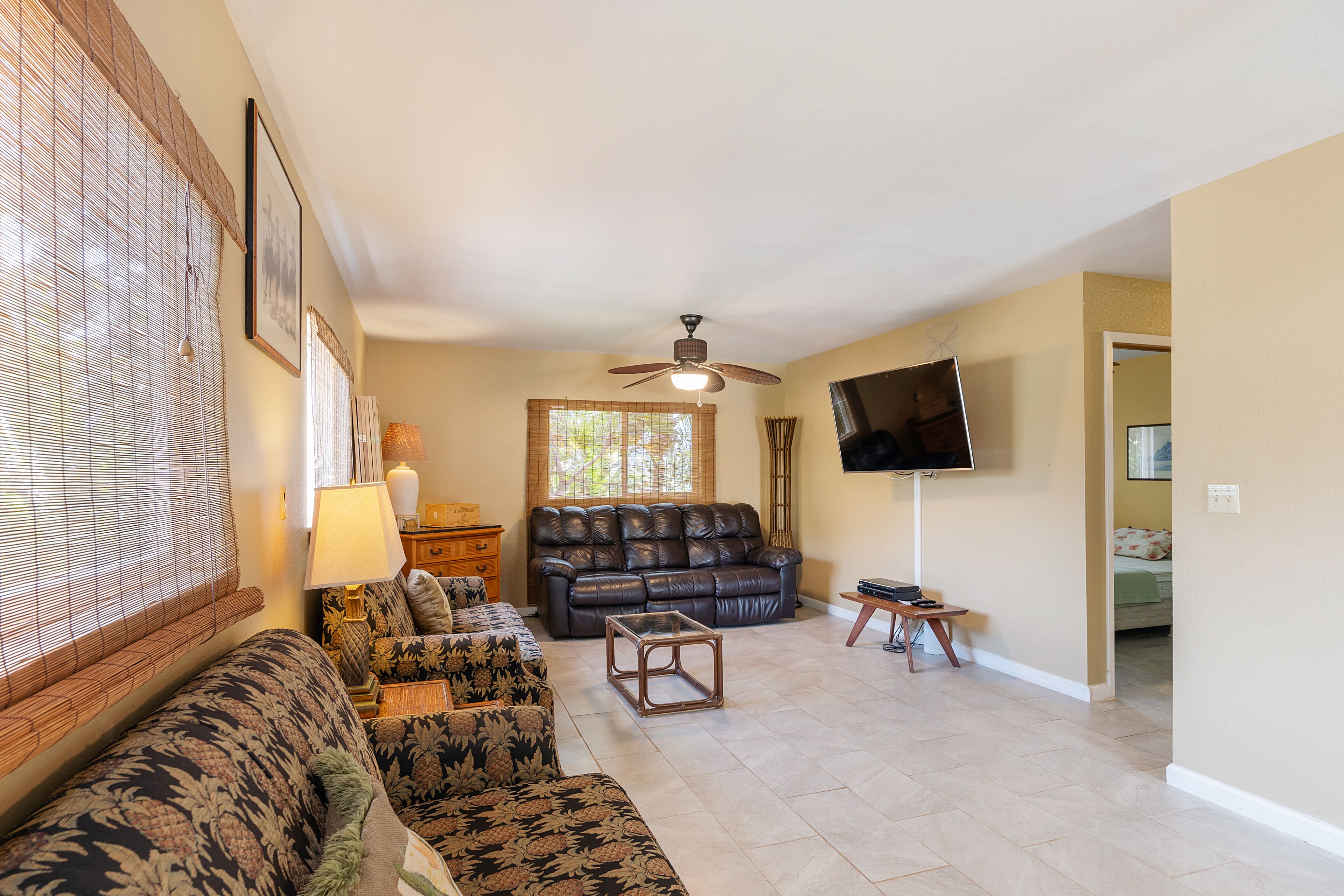 Smart TV, DVD player, books