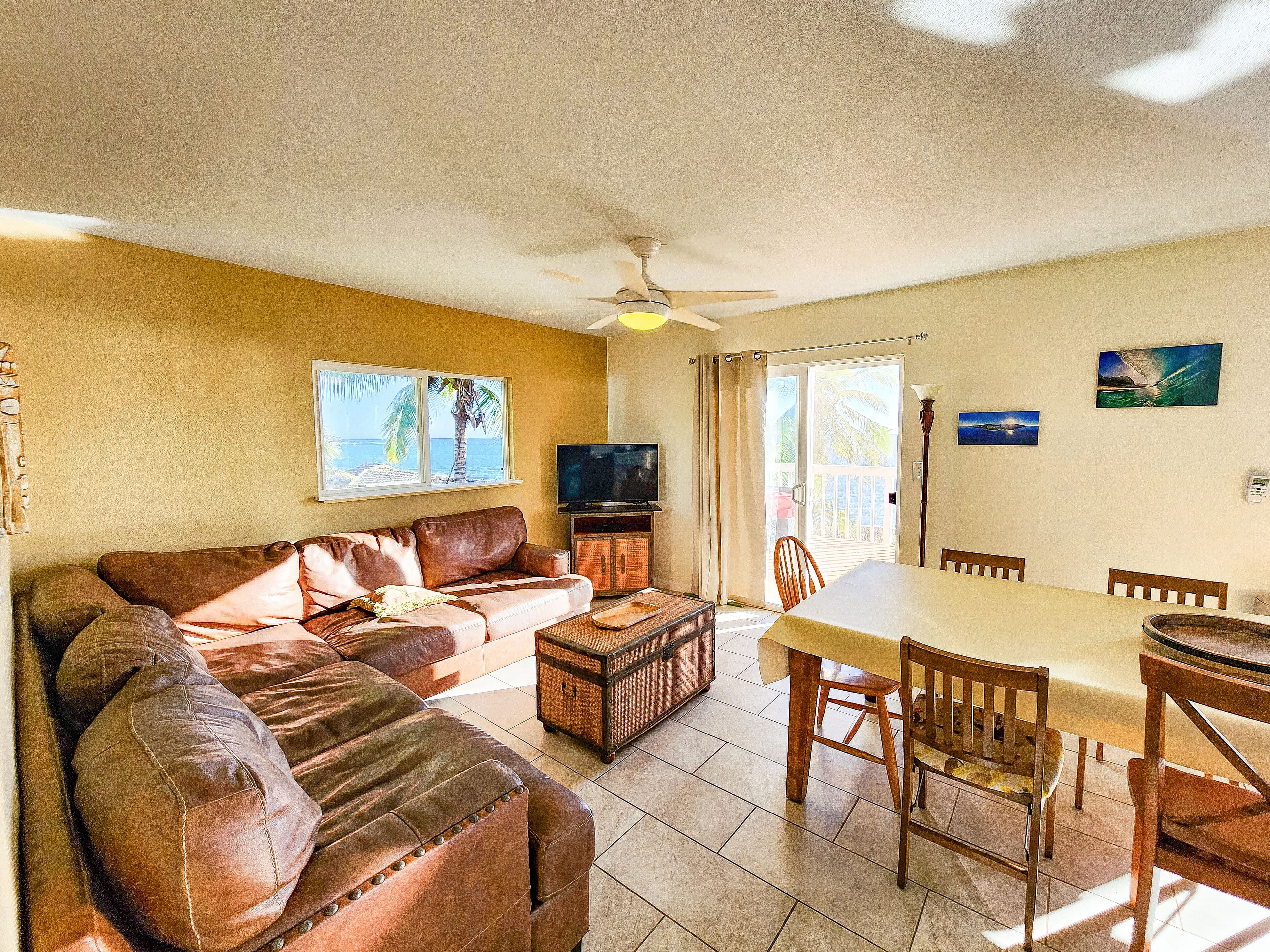 Smart TV, DVD player, books