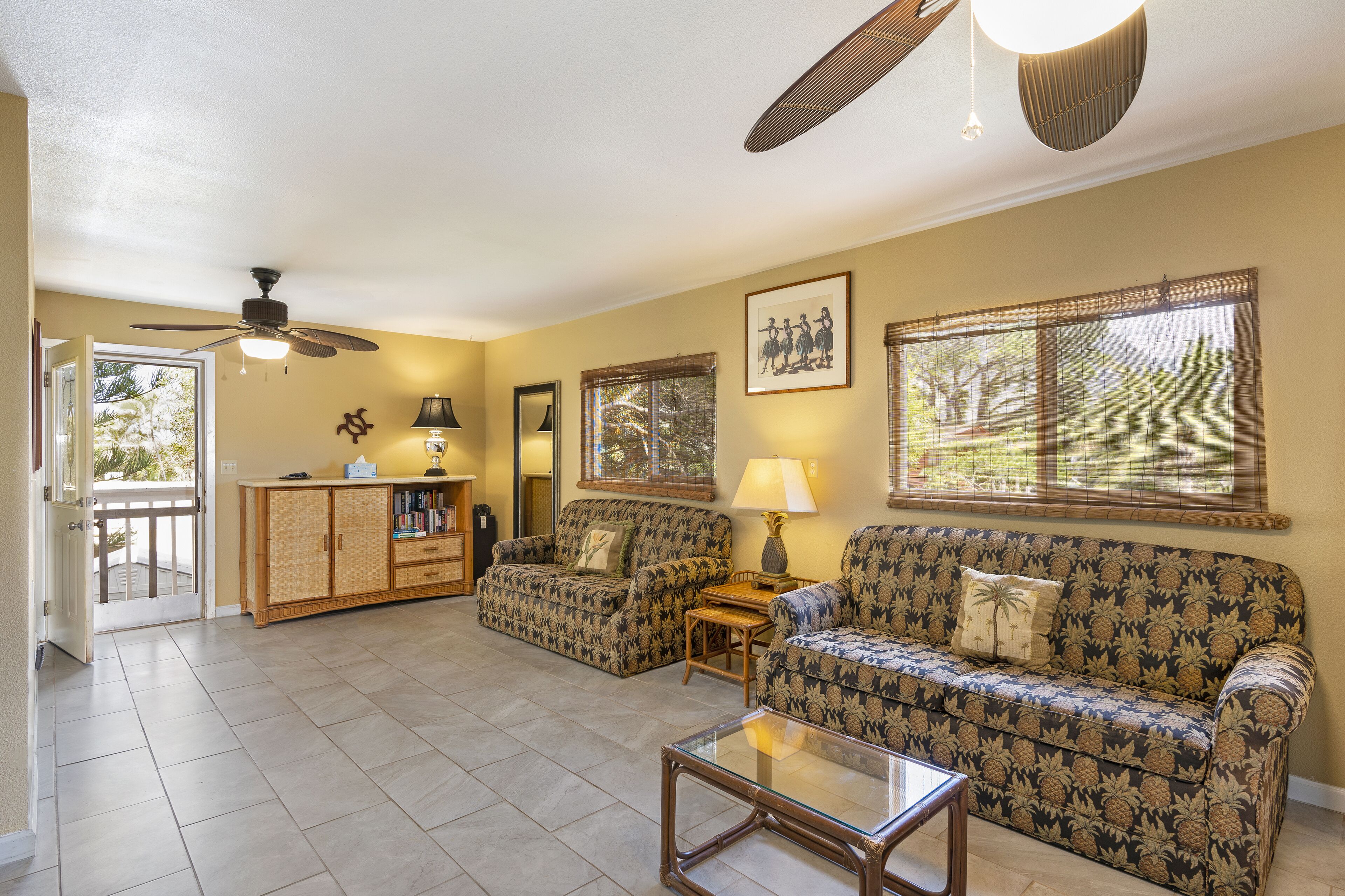 Smart TV, DVD player, books