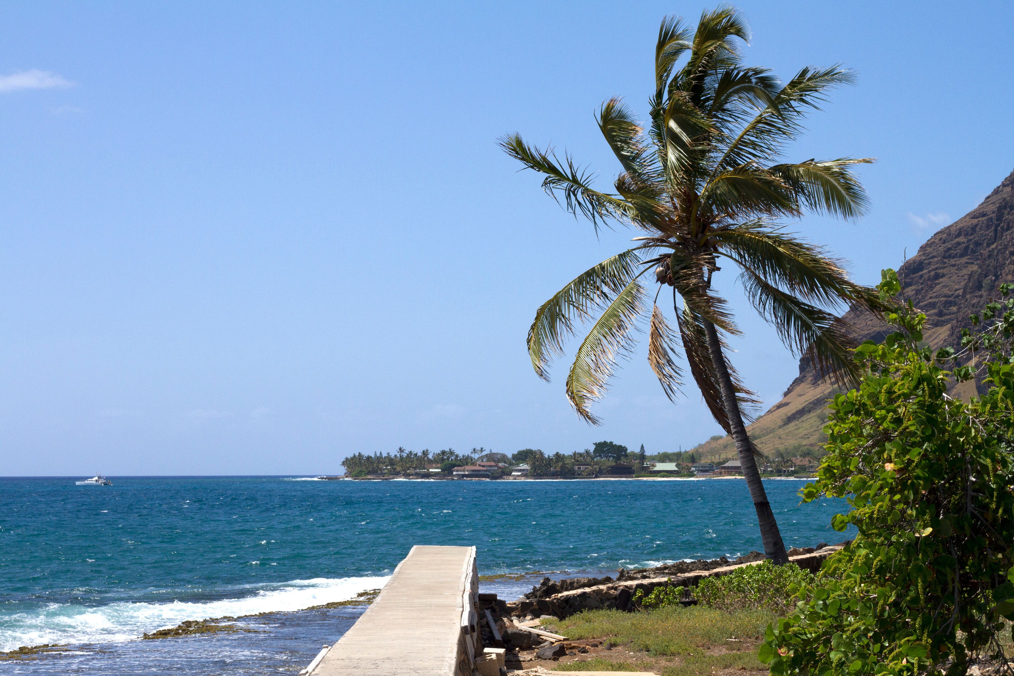 Sun loungers, beach towels