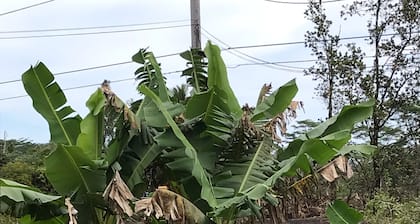 Cozy 3 bedroom home 20 minutes from hilo