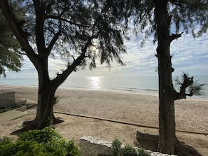 Ein Strand mit Bäumen und blauem Himmel.