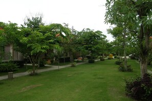 Tuin