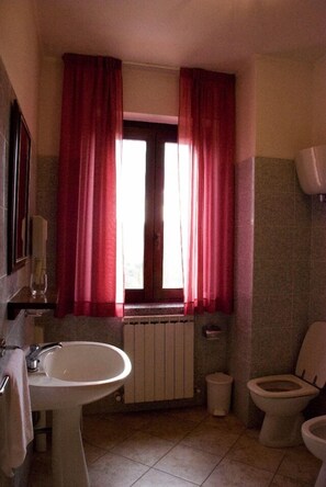 Shower, free toiletries, hair dryer, bidet