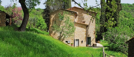 Extérieur