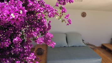 3 chambres, bureau, fer et planche Ă repasser, lit parapluie