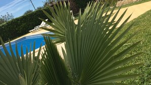 Zona de piscina con una palmera y un edificio blanco con columnas.