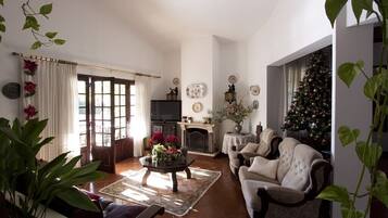 TV, lareira, DVD player, livros