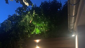 An outdoor patio with a round table and two chairs, surrounded by plants and a wooden fence. - Garden in town (Lyon)