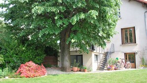 A house with a large tree in the front yard, a staircase leading to the entrance, and several potted plants. - Garden in town (Lyon)