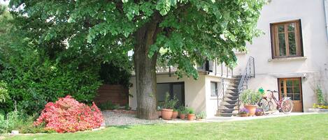 A house with a large tree in the front yard, a staircase leading to the entrance, and several potted plants.