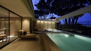 A modern outdoor pool area with a glass enclosure, a lounge chair, and a hot tub. - The Hiramatsu Hotels & Resorts Kashikojima (Shima)