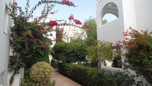 Un sendero estrecho bordeado de exuberante follaje y plantas en flor, que conduce a un edificio blanco con un arco distintivo.
