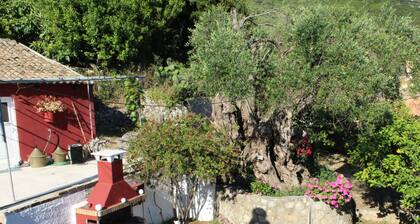 Kanellina Traditional House , built in 1882.