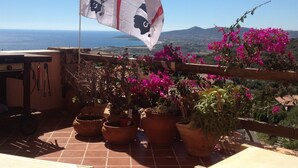 Eine Terrasse mit Blumentöpfen, einer Flagge und Blick aufs Meer.