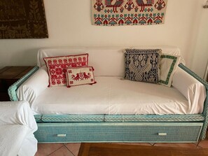 Télévision, lecteur de DVD, livres