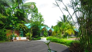 Un complexe hôtelier tropical doté d’une allée pavée menant à un bâtiment surmonté d’un toit végétalisé.