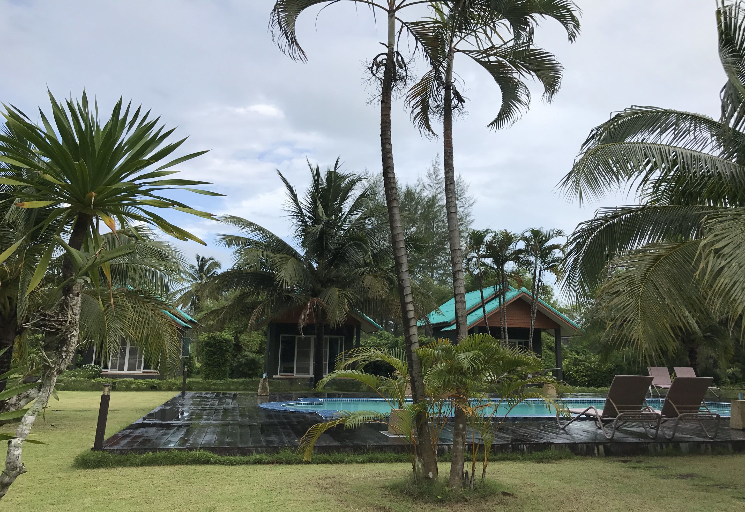 A pool area with lounge chairs, surrounded by palm trees and a house with a green roof.