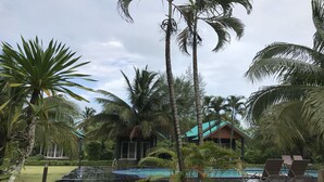 Un espace piscine avec des chaises longues, entouré de palmiers et une maison dotée d’un toit végétalisé.