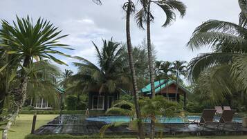 A pool area with lounge chairs, surrounded by palm trees and a house with a green roof.