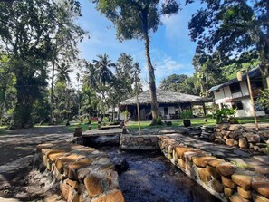 Internationell gastronomi