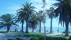 Un paseo marítimo con palmeras, bancos y una vista despejada del mar.