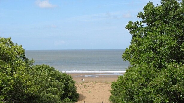 Een strand met een zandpad dat naar het water leidt, omgeven door weelderige groene beplanting.