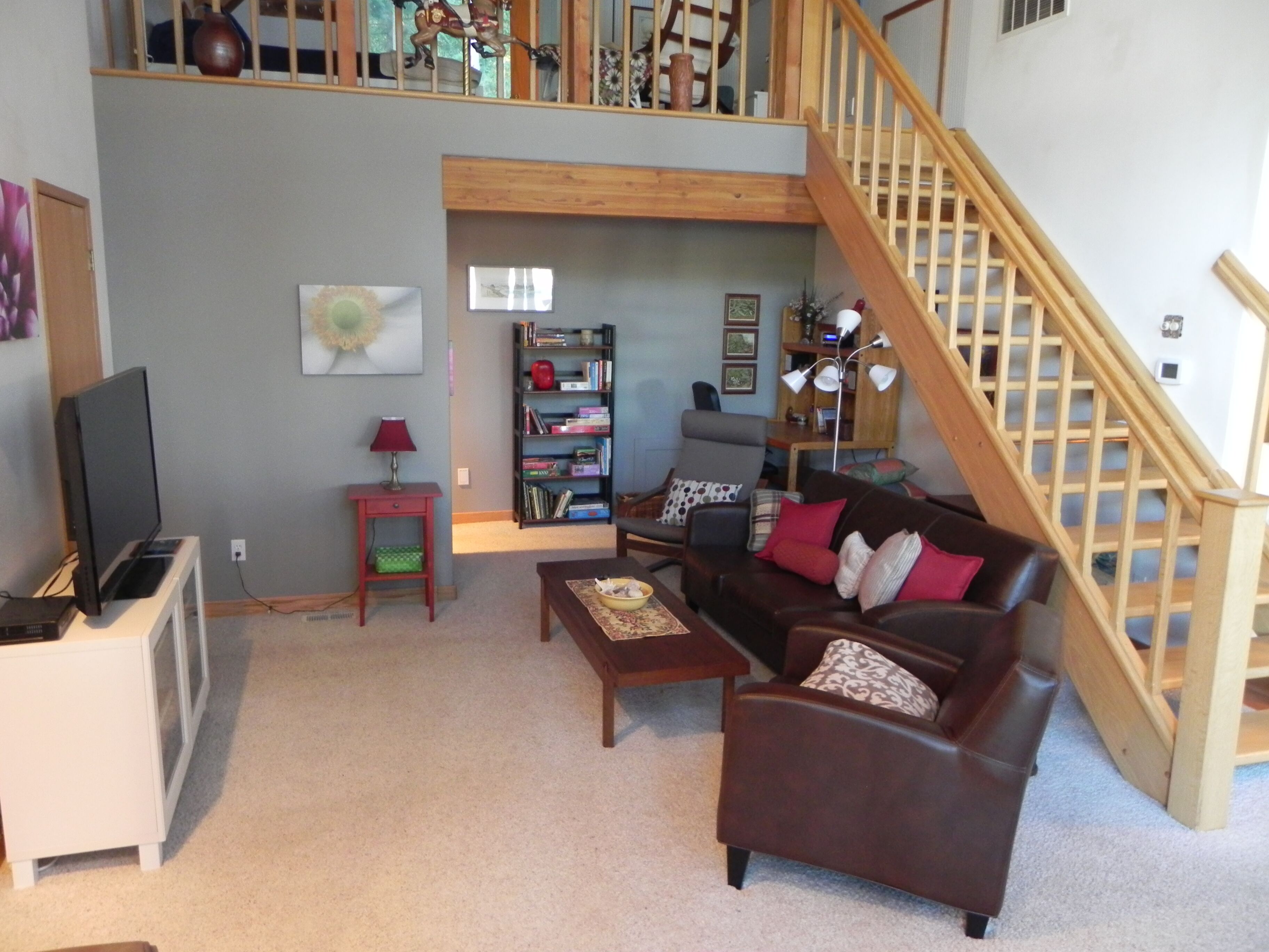 Älytelevisio, DVD-soitin, kirjoja, videokirjasto