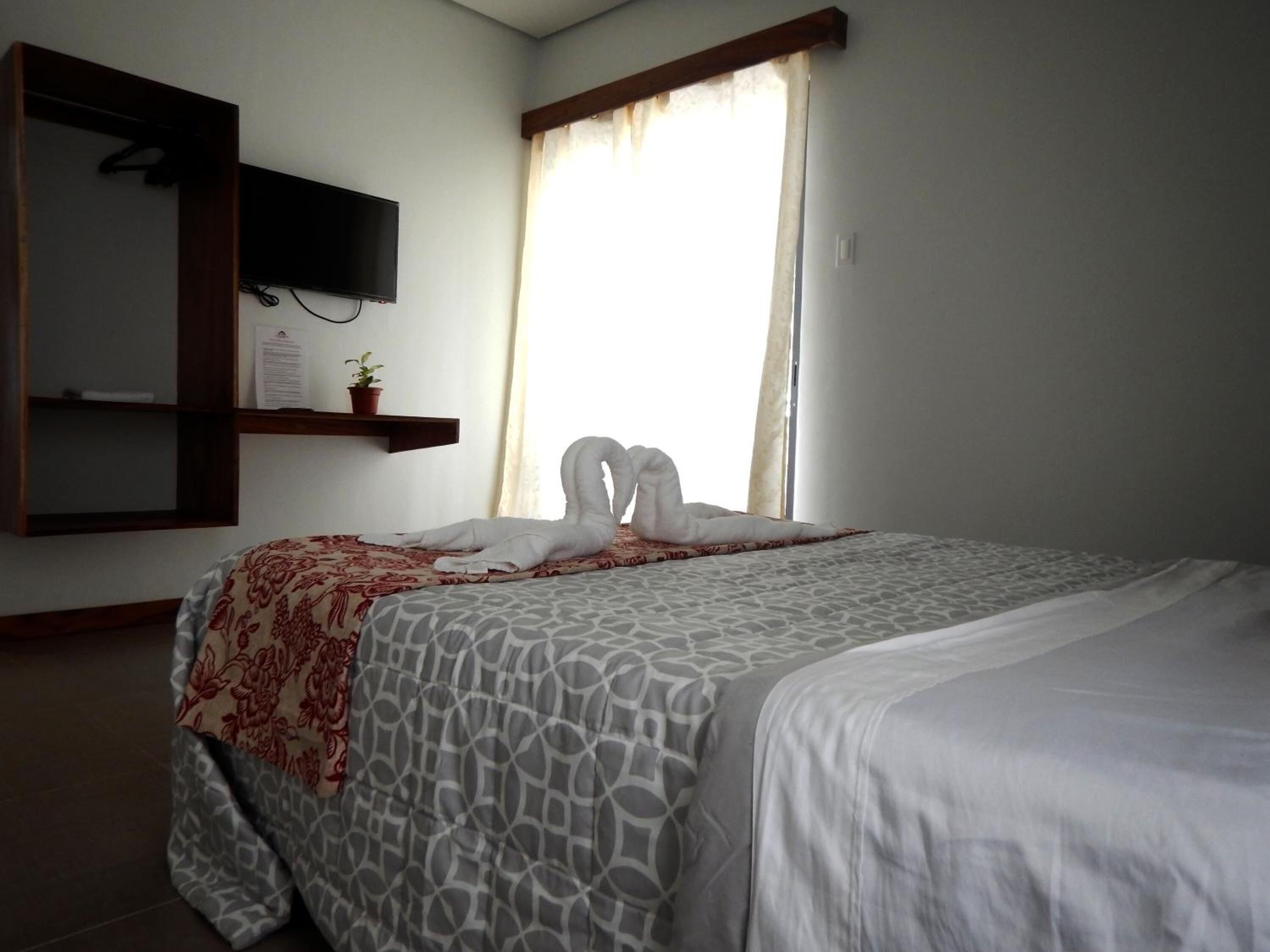 A hotel room with a bed, a television mounted on the wall, a window with curtains, and a small potted plant on a shelf.
