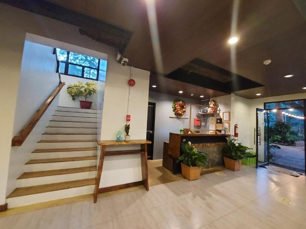 Un vestíbulo de hotel con una escalera de madera, mostrador de recepción y plantas en macetas.
