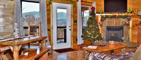 Smart TV, fireplace, books, music library