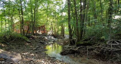 Feels like your in a Tree House! On the Wine 🍷Trail! Private Location Hot Tub!