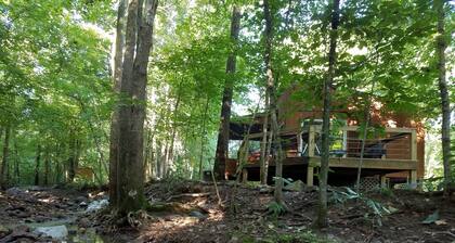 On se sent comme dans une cabane dans les arbres! Sur le ruisseau! Foyer! 2min Ă la cave!
