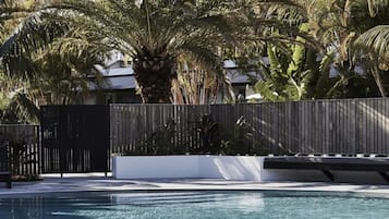 A swimming pool with clear water, surrounded by palm trees and a wooden fence.