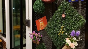 A wall with a clock, a 'Cheers!' sign, and various potted plants. - The Connect Chiang Mai (Chiang Mai)