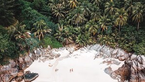 Eine Vogelperspektive eines Strandes mit weißem Sand, klarem türkisblauem Wasser und dichter Bepflanzung von Palmen im Hintergrund.