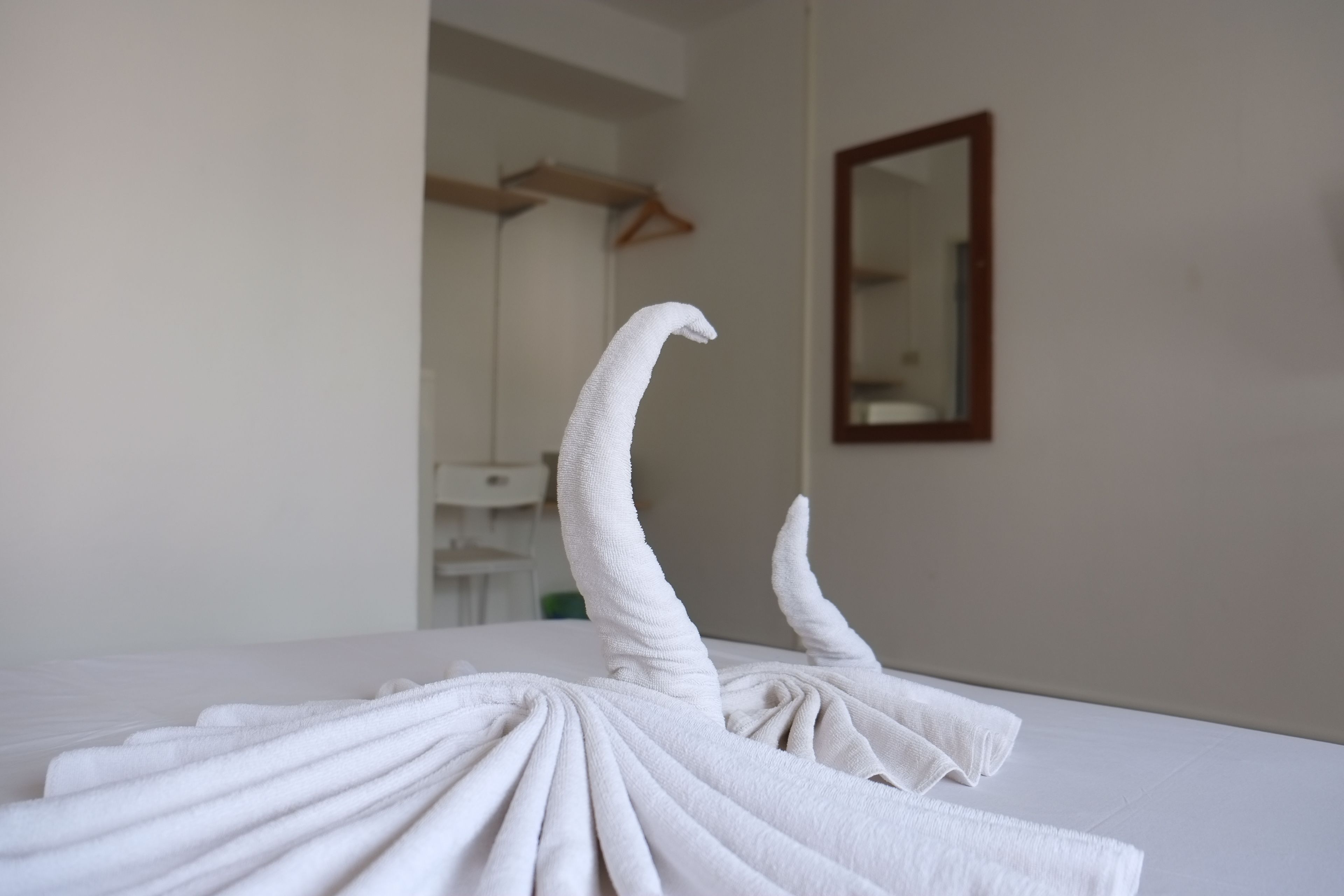 Photo - myPatong Social Hostel