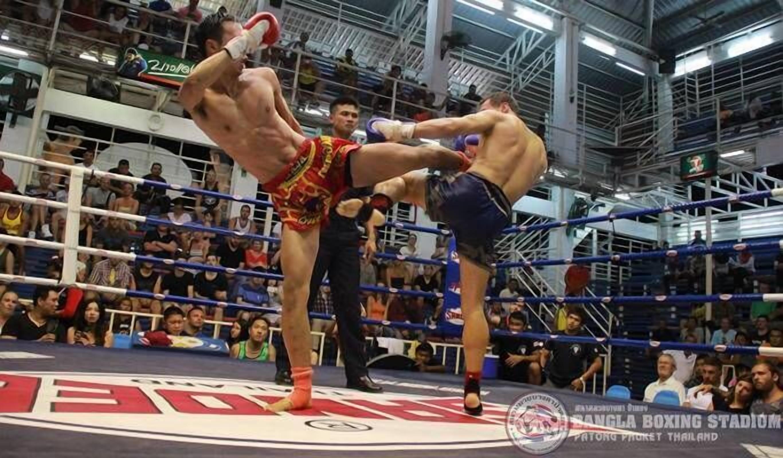 Photo - myPatong Social Hostel