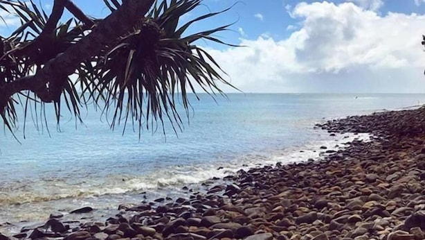 A rocky beach with palm trees and a clear sky. - Mooloolaba Backpackers (Mooloolaba)