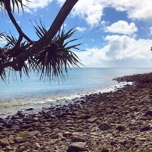 بالقرب من الشاطئ