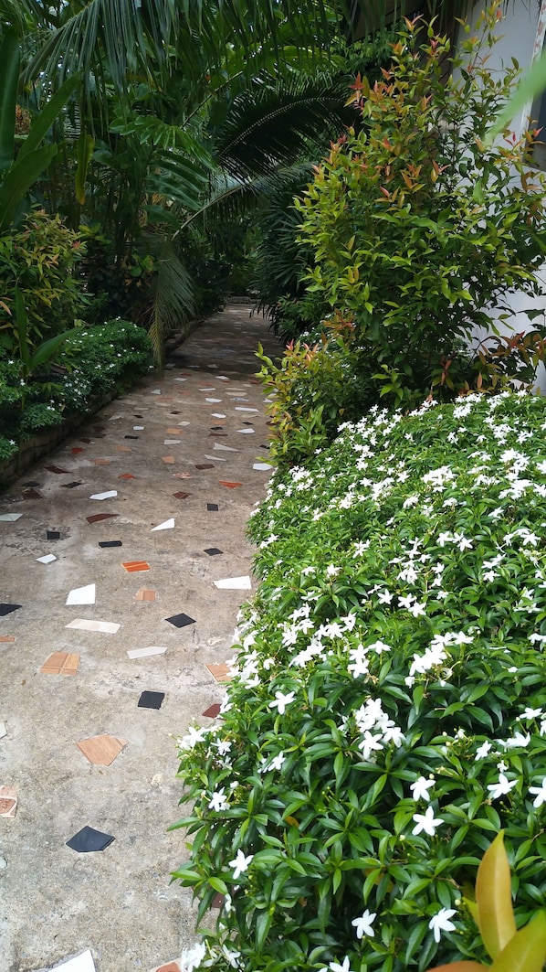 Un chemin bordé de carreaux décoratifs, entouré d’une végétation luxuriante et de plantes à fleurs blanches.