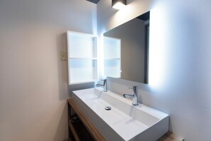 Separate tub and shower, free toiletries, hair dryer, bathrobes