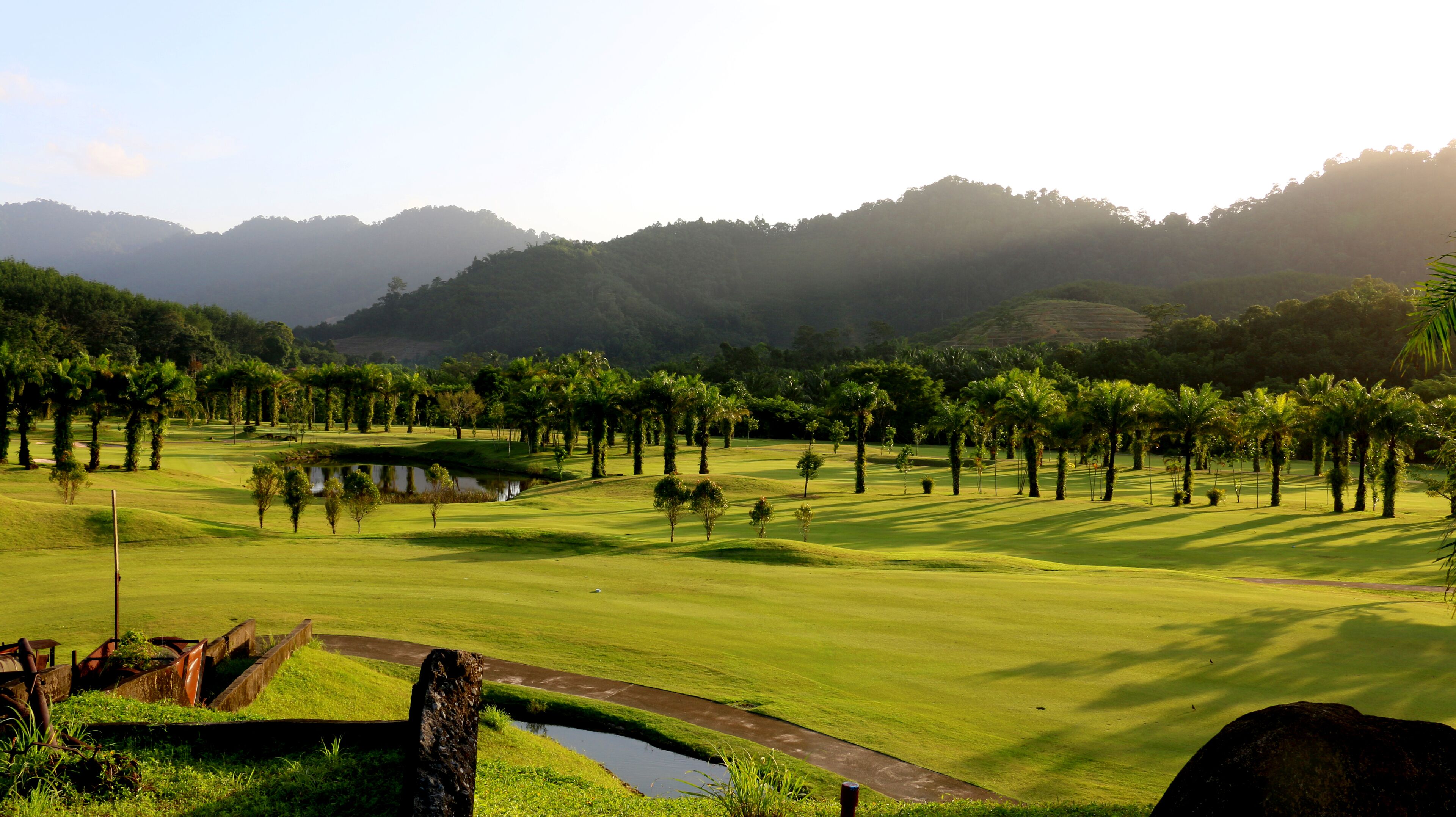 A golf course with a pond, palm trees, and a mountainous backdrop.