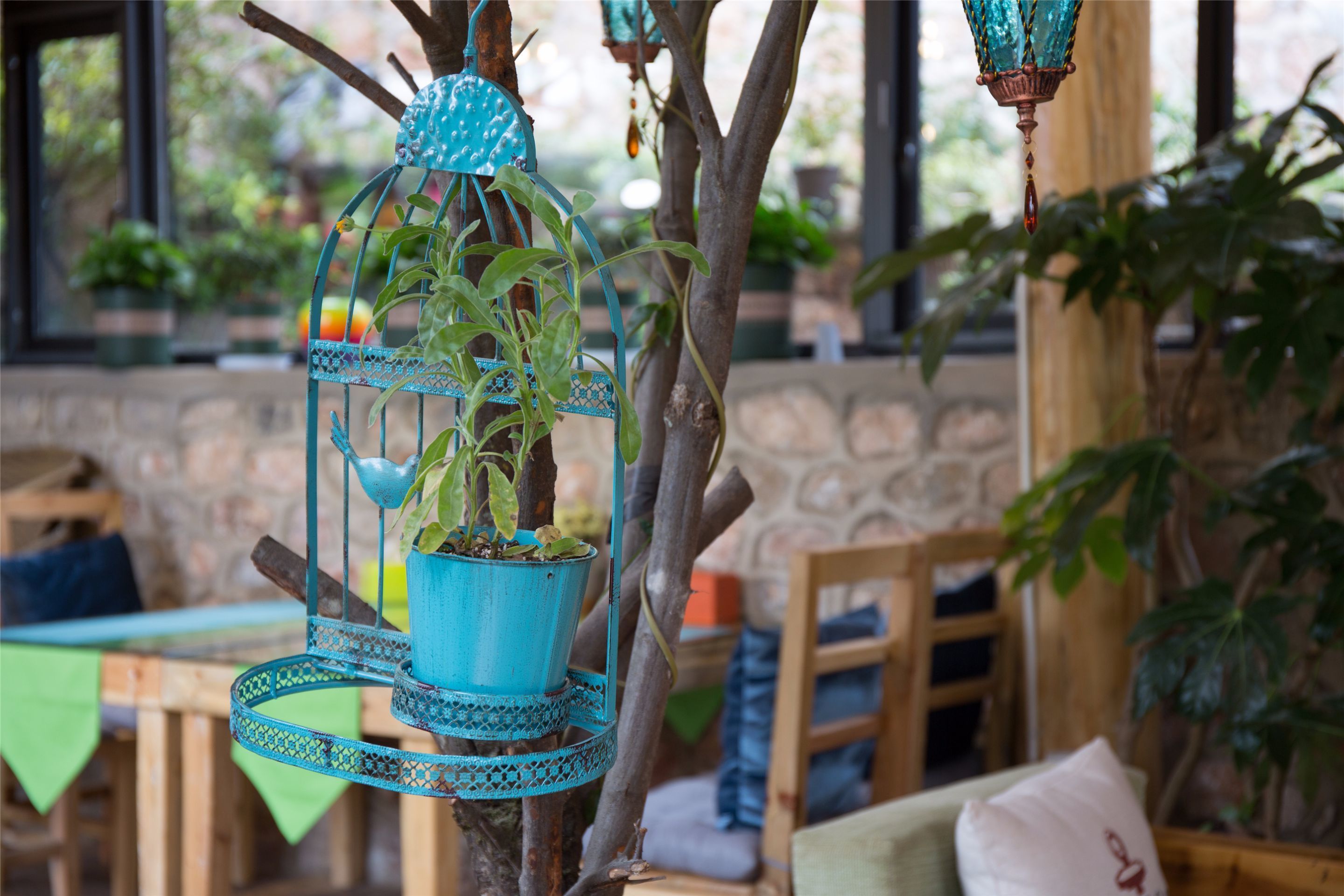 A hanging plant in a blue pot, a wooden chair, and a stone wall in the background.