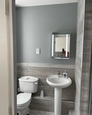 Bathroom features a pedestal sink, toilet, and mirror, with a clean and minimalist design.