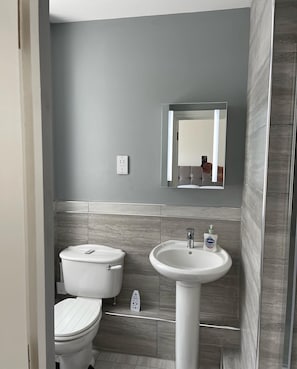 Bathroom features a pedestal sink, toilet, and mirror, with a clean and minimalist design.