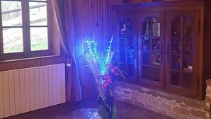 Une pièce avec un meuble en bois, une fenêtre donnant sur un paysage enneigé et un vase illuminé de lumières bleues.