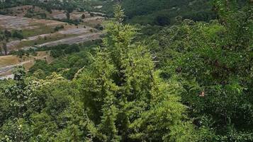 A mountainous landscape with dense green foliage and a clear sky.